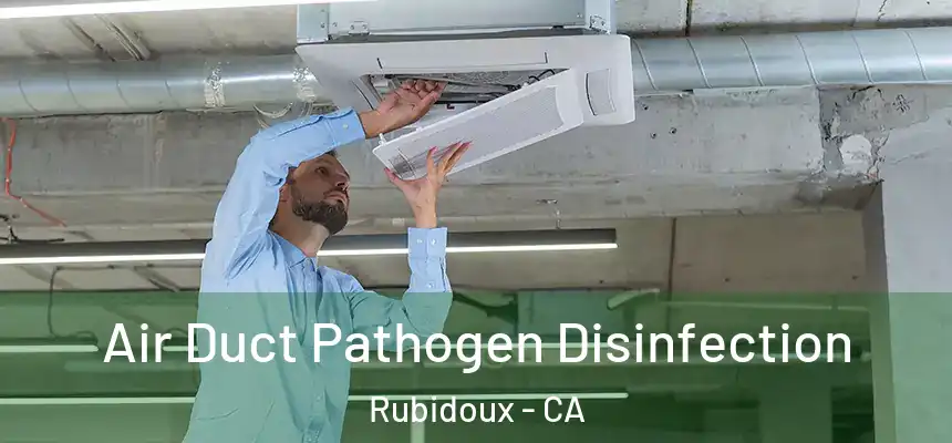  Air Duct Pathogen Disinfection Rubidoux - CA