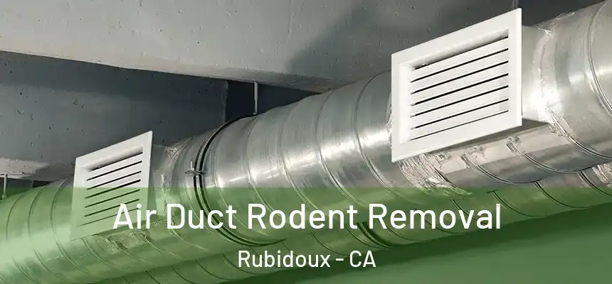  Air Duct Rodent Removal Rubidoux - CA