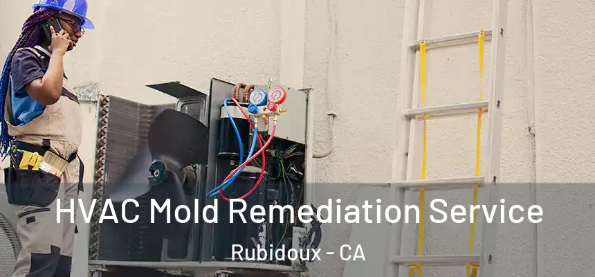  HVAC Mold Remediation Service Rubidoux - CA