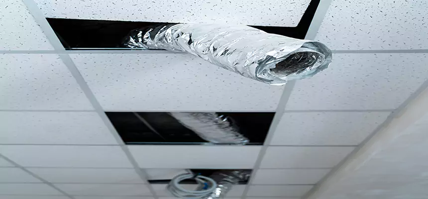 Affordable HVAC Sanitizing After Pest Removal in Rubidoux