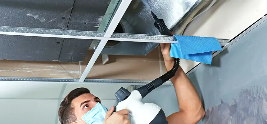 Our Air Duct Rodent Removal Services in Rubidoux, CA