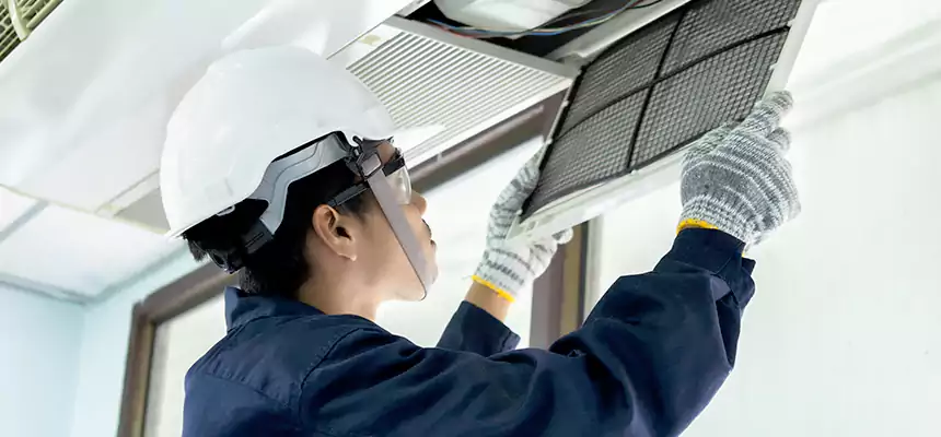 Our Mold & Mildew Removal from Air Ducts Services in Rubidoux, CA