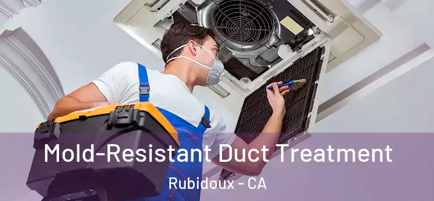 Mold-Resistant Duct Treatment Rubidoux - CA