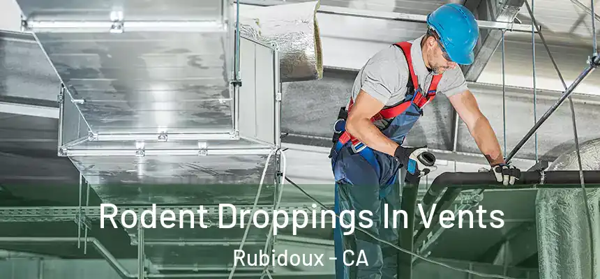  Rodent Droppings In Vents Rubidoux - CA