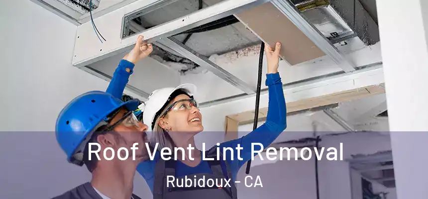  Roof Vent Lint Removal Rubidoux - CA