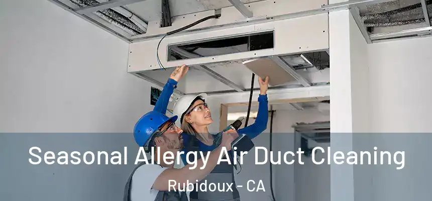 Seasonal Allergy Air Duct Cleaning Rubidoux - CA