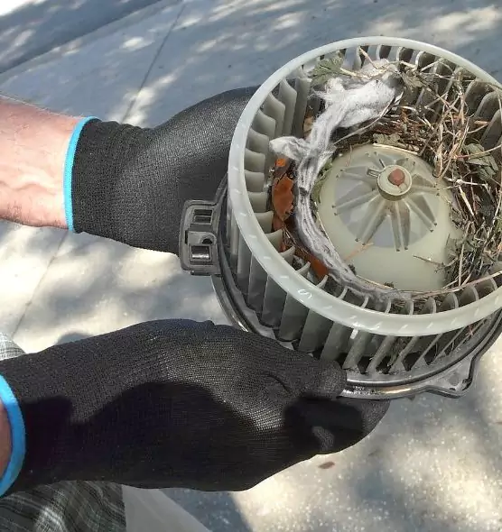 About Air Duct Mice Removal in Rubidoux, CA