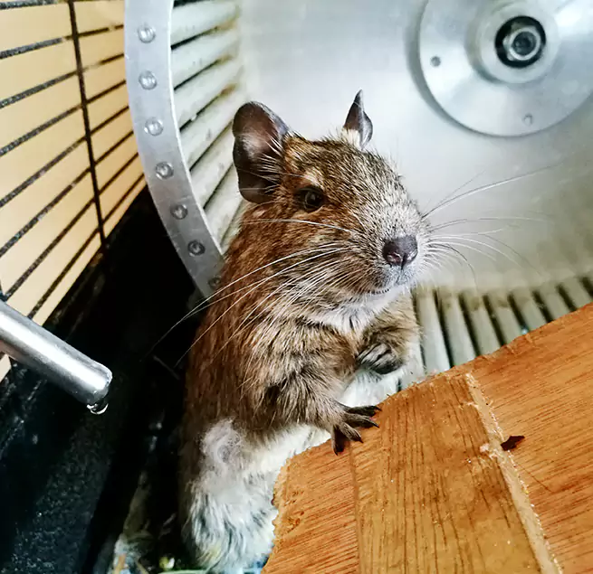 Why Homeowners & Businesses Trust Us Rubidoux, CA?